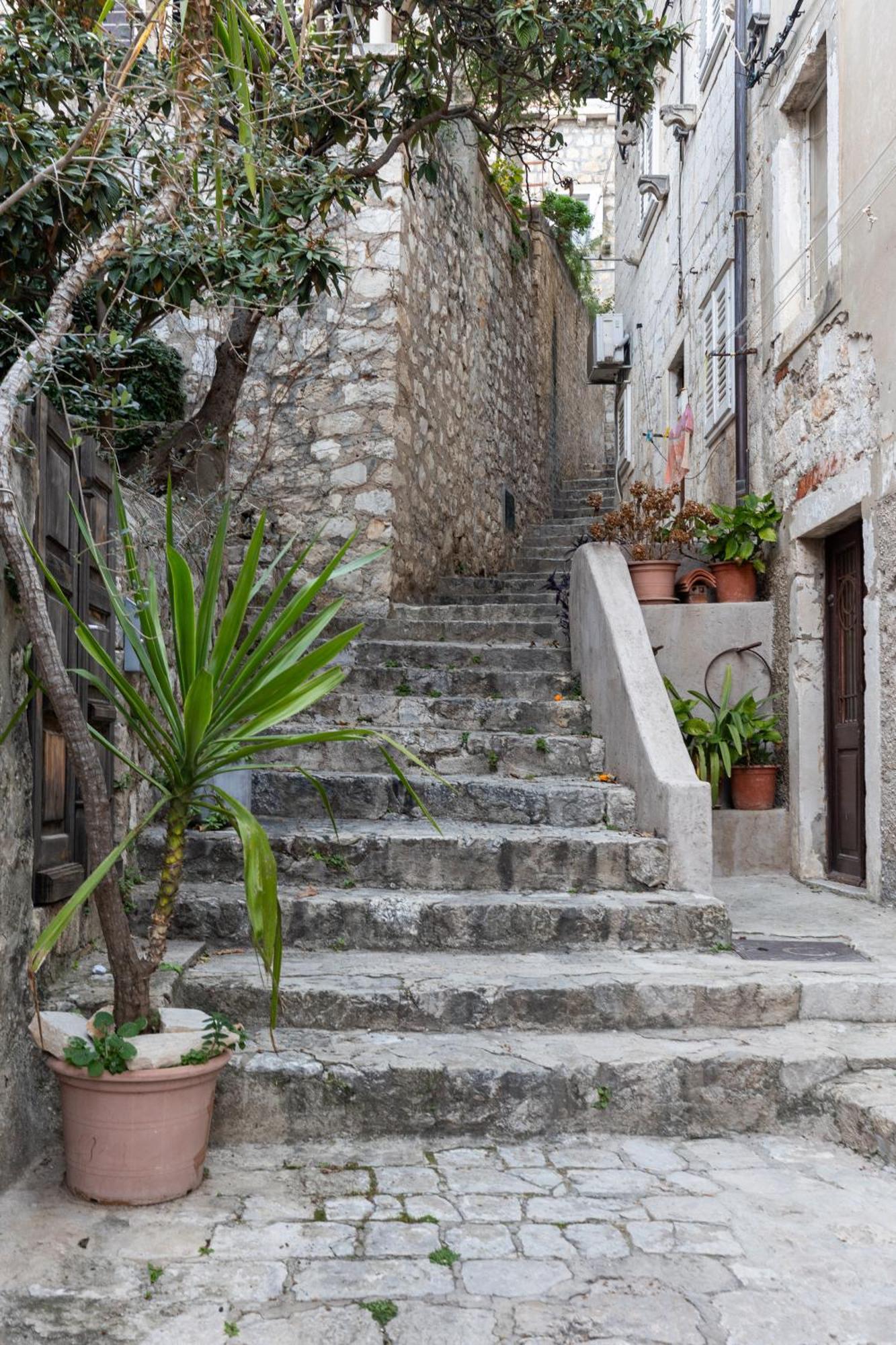 Goat Studio Dubrovnik Ngoại thất bức ảnh